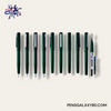 LAMY Aion Fountain Pen - Dark Green (Special Edition)