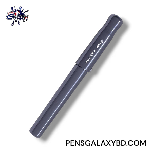 Pilot Kakuno Fountain Pen - Gray - Top Image